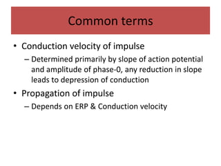 Common terms
• Conduction velocity of impulse
– Determined primarily by slope of action potential
and amplitude of phase-0, any reduction in slope
leads to depression of conduction
• Propagation of impulse
– Depends on ERP & Conduction velocity
 
