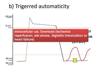 b) Trigerred automaticity
+30 mV
0 mV
-80 mV
-90 mV
Intracellular cal. Overload (Ischemia
reperfusion, adr.stress, digitalis intoxication or
heart failure)
 