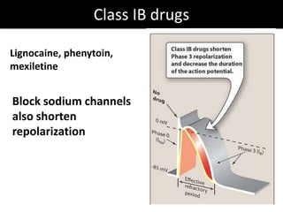 Class IB drugs
Lignocaine, phenytoin,
mexiletine
Block sodium channels
also shorten
repolarization
 