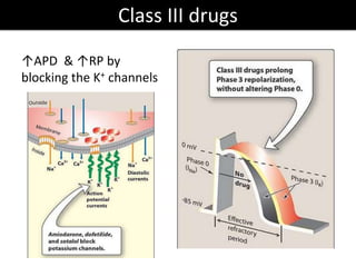 Class III drugs
↑APD & ↑RP by
blocking the K+ channels
 