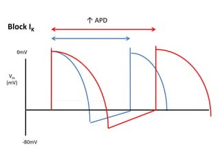 Vm
(mV)
-80mV
0mV
↑ APD
Block IK
 