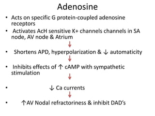 Adenosine
• Acts on specific G protein-coupled adenosine
receptors
• Activates AcH sensitive K+ channels channels in SA
node, AV node & Atrium
• Shortens APD, hyperpolarization & ↓ automaticity
• Inhibits effects of ↑ cAMP with sympathetic
stimulation
• ↓ Ca currents
• ↑AV Nodal refractoriness & inhibit DAD’s
 
