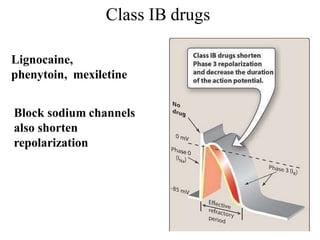 Class IB drugs
Lignocaine,
phenytoin, mexiletine
Block sodium channels
also shorten
repolarization
 