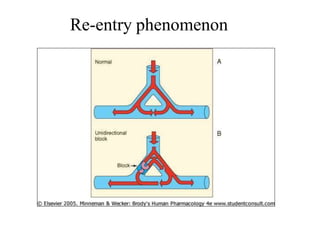 Re-entry phenomenon
 
