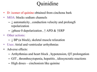 Quinidine
• D- isomer of quinine obtained from cinchona bark
• MOA: blocks sodium channels
– ↓ automaticity , conduction velocity and prolongS
repolarization
– ↓phase 0 depolarization , ↑ APD & ↑ERP
• Other actions:
– ↓ BP (α block), skeletal muscle relaxation
• Uses: Atrial and ventricular arrhythmias
• Adverse effects:
– Arrhythmias and heart block , hypotension, QT prolongation
– GIT , thrombocytopenia, hepatitis , idiosyncratic reactions
– High doses – cinchonism like quinine
 
