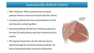 Antiarrhythmic drugs (class I & II).pptx