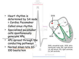 Comprehensive Overview of Antiarrhythmic Drugs and Cardiac ...