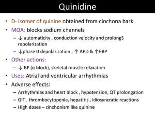 Quinidine
• D- isomer of quinine obtained from cinchona bark
• MOA: blocks sodium channels
– ↓ automaticity , conduction velocity and prolongS
repolarization
– ↓phase 0 depolarization , ↑ APD & ↑ERP
• Other actions:
– ↓ BP (α block), skeletal muscle relaxation
• Uses: Atrial and ventricular arrhythmias
• Adverse effects:
– Arrhythmias and heart block , hypotension, QT prolongation
– GIT , thrombocytopenia, hepatitis , idiosyncratic reactions
– High doses – cinchonism like quinine
 