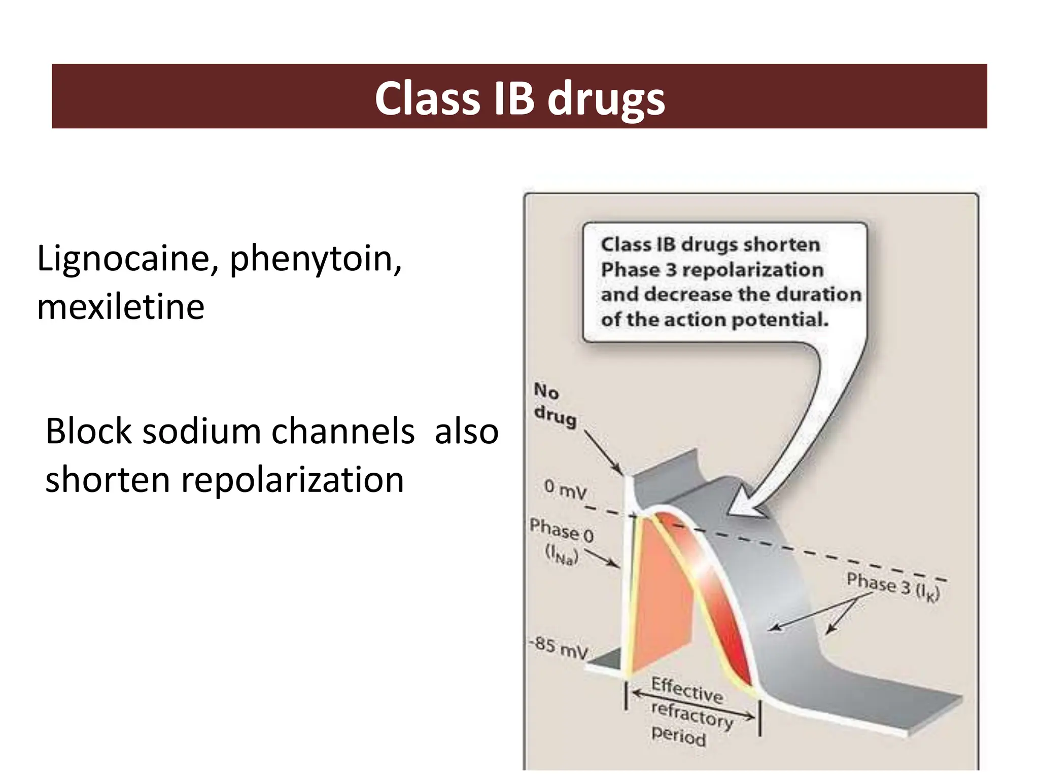 antiarrhythmic-drugs-and-its-side-effect-pptx