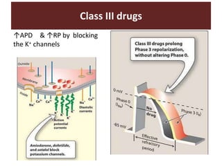 ↑APD & ↑RP by blocking
the K+ channels
Class III drugs
 