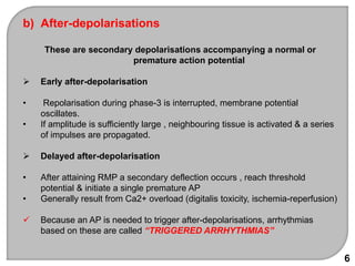 b) After-depolarisations
These are secondary depolarisations accompanying a normal or
premature action potential
 Early after-depolarisation
• Repolarisation during phase-3 is interrupted, membrane potential
oscillates.
• If amplitude is sufficiently large , neighbouring tissue is activated & a series
of impulses are propagated.
 Delayed after-depolarisation
• After attaining RMP a secondary deflection occurs , reach threshold
potential & initiate a single premature AP
• Generally result from Ca2+ overload (digitalis toxicity, ischemia-reperfusion)
 Because an AP is needed to trigger after-depolarisations, arrhythmias
based on these are called “TRIGGERED ARRHYTHMIAS”
6
 