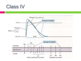 Class IV
 