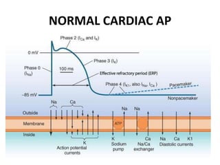 Antiarrhythmics | PPTX