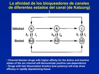 La afinidad de los bloqueadores de canales
 de diferentes estados del canal (de Katzung)
                       )




• Channel blocker drugs with higher affinity for the Active and Inactive
states of the ion channel will demonstrate positive use-dependence
• Drugs with fast dissociation kinetics (low potency) will only show
efficacy in rapidly depolarizing tissue
 