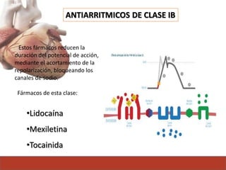 ANTIARRITMICOS DE CLASE IB
Estos fármacos reducen la
duración del potencial de acción,
mediante el acortamiento de la
repolarización, bloqueando los
canales de sodio.
Fármacos de esta clase:
•Lidocaína
•Mexiletina
•Tocainida
 