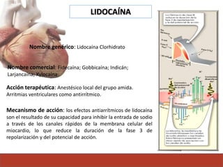 LIDOCAÍNA
Nombre genérico: Lidocaína Clorhidrato
Nombre comercial: Fidecaína; Gobbicaína; Indicán;
Larjancaína; Xylocaína
Acción terapéutica: Anestésico local del grupo amida.
Arritmias ventriculares como antirrítmico.
Mecanismo de acción: los efectos antiarrítmicos de lidocaína
son el resultado de su capacidad para inhibir la entrada de sodio
a través de los canales rápidos de la membrana celular del
miocardio, lo que reduce la duración de la fase 3 de
repolarización y del potencial de acción.
 