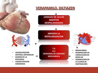 CANALES DE CALCIO
ABIERTOS
DESPOLARIZADOS
↓
IMPIDEN LA
REPOLARAZACION
↓
• VASODILATACION
ARTERIAL-ARTERIOLAR
• DISMINUYE LA
POSCARGA
• VASODILATACION
CORONARIA
• BRADICARDIA
• DISMINUCION DE
CONDUCCION EN
NODO AV
• DISMINUCION DE
LA FUERZA DE
CONTRACCION
T.A
G.C
DEMANDA DE OXIGENO
MIOCARDICA
 