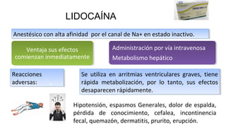 LIDOCAÍNA
Anestésico con alta afinidad por el canal de Na+ en estado inactivo.
Anestésico con alta afinidad por el canal de Na+ en estado inactivo.
Reacciones
adversas:
Reacciones
adversas:
Se utiliza en arritmias ventriculares graves, tiene
rápida metabolización, por lo tanto, sus efectos
desaparecen rápidamente.
Se utiliza en arritmias ventriculares graves, tiene
rápida metabolización, por lo tanto, sus efectos
desaparecen rápidamente.
Ventaja sus efectos
comienzan inmediatamente
Administración por vía intravenosa
Metabolismo hepático
Hipotensión, espasmos Generales, dolor de espalda,
pérdida de conocimiento, cefalea, incontinencia
fecal, quemazón, dermatitis, prurito, erupción.
 