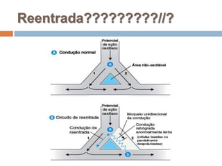 Reentrada?????????//?