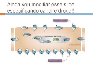 Ainda vou modifiar esse slide especificando canal e droga!!