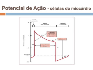 Potencial de Ação - células do miocárdio