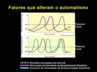Potencial
Limiar
Potencial
Limiar
= Atividade marcapasso do nodo SA
= Diminuição da Velocidade de Despolarização Diastólica
= Aumento da Velocidade de Despolarização Diastólica
Fatores que alteram o automatismoFatores que alteram o automatismo
 