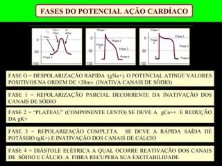 FASES DO POTENCIAL AÇÃO CARDÍACO
FASE O = DESPOLARIZAÇÃO RÁPIDA (gNa+). O POTENCIAL ATINGE VALORES
POSITIVOS NA ORDEM DE +20mv. (INATIVA CANAIS DE SÓDIO)
FASE 1 = REPOLARIZAÇÃO PARCIAL DECORRENTE DA INATIVAÇÃO DOS
CANAIS DE SÓDIO
FASE 2 = “PLATEAU” (COMPONENTE LENTO) SE DEVE A gCa++ E REDUÇÃO
DA gK+
FASE 3 = REPOLARIZAÇÃO COMPLETA. SE DEVE A RÁPIDA SAÍDA DE
POTÁSSIO (gK+) E INATIVAÇÃO DOS CANAIS DE CÁLCIO
FASE 4 = DIÁSTOLE ELÉTRICA A QUAL OCORRE REATIVAÇÃO DOS CANAIS
DE SÓDIO E CÁLCIO. A FIBRA RECUPERA SUA EXCITABILIDADE
 