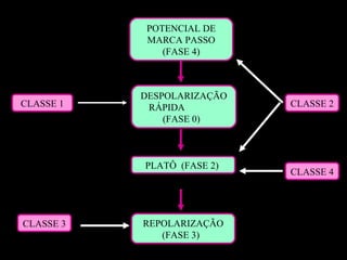 POTENCIAL DE
MARCA PASSO
(FASE 4)
DESPOLARIZAÇÃO
RÁPIDA
(FASE 0)
PLATÔ (FASE 2)
REPOLARIZAÇÃO
(FASE 3)
CLASSE 1 CLASSE 2
CLASSE 3
CLASSE 4
 