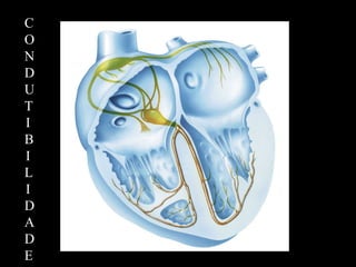 C
O
N
D
U
T
I
B
I
L
I
D
A
D
E
 