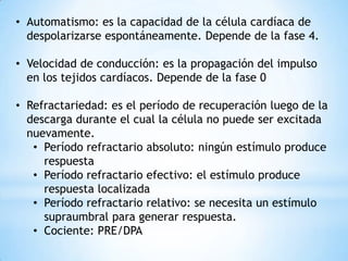 • Automatismo: es la capacidad de la célula cardíaca de
  despolarizarse espontáneamente. Depende de la fase 4.

• Velocidad de conducción: es la propagación del impulso
  en los tejidos cardíacos. Depende de la fase 0

• Refractariedad: es el período de recuperación luego de la
  descarga durante el cual la célula no puede ser excitada
  nuevamente.
   • Período refractario absoluto: ningún estímulo produce
     respuesta
   • Período refractario efectivo: el estímulo produce
     respuesta localizada
   • Período refractario relativo: se necesita un estímulo
     supraumbral para generar respuesta.
   • Cociente: PRE/DPA
 