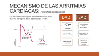 MECANISMO DE LAS ARRITMIAS
CARDIACAS: Post-despolarizaciones
Oscilaciones de voltaje de membrana que ocurren
DAD
EAD
durante o después de un potencial de acción.
>Ca+
citosol y RE

-|Na+-K+-ATPasa

Catecolaminas
Isquemia

Potenciales de
acción
prolongados

Dependiente de
la frecuencia

Hipokalemia
Bradicardia
Farmacos

 