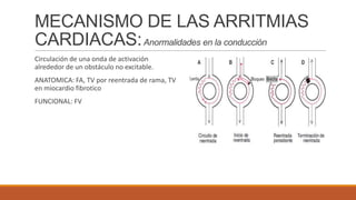 MECANISMO DE LAS ARRITMIAS
CARDIACAS: Anormalidades en la conducción
Circulación de una onda de activación
alrededor de un obstáculo no excitable.
ANATOMICA: FA, TV por reentrada de rama, TV
en miocardio fibrotico
FUNCIONAL: FV

 