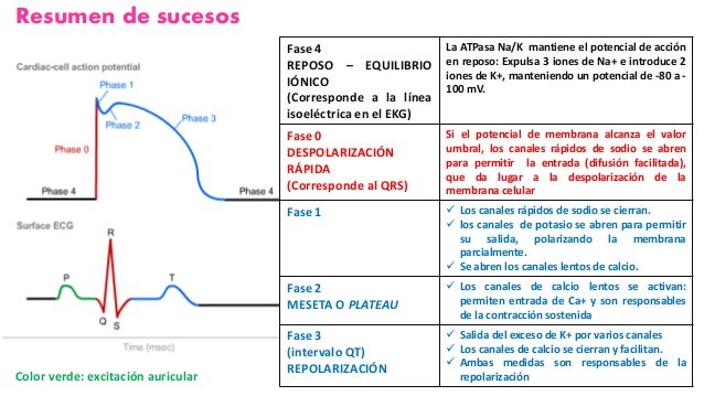 Download clasificacion de antiarritmicos pdf converter
