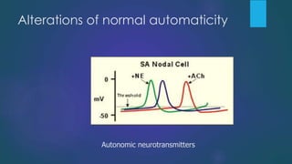 Alterations of normal automaticity
Autonomic neurotransmitters
 