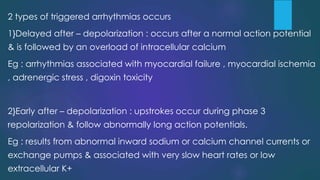 2 types of triggered arrhythmias occurs
1}Delayed after – depolarization : occurs after a normal action potential
& is followed by an overload of intracellular calcium
Eg : arrhythmias associated with myocardial failure , myocardial ischemia
, adrenergic stress , digoxin toxicity
2}Early after – depolarization : upstrokes occur during phase 3
repolarization & follow abnormally long action potentials.
Eg : results from abnormal inward sodium or calcium channel currents or
exchange pumps & associated with very slow heart rates or low
extracellular K+
 