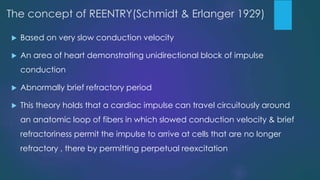 The concept of REENTRY(Schmidt & Erlanger 1929)
 Based on very slow conduction velocity
 An area of heart demonstrating unidirectional block of impulse
conduction
 Abnormally brief refractory period
 This theory holds that a cardiac impulse can travel circuitously around
an anatomic loop of fibers in which slowed conduction velocity & brief
refractoriness permit the impulse to arrive at cells that are no longer
refractory , there by permitting perpetual reexcitation
 