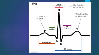 ECG
Contraction
of atria
Contraction
of ventricles
Repolarization
of ventricles
 