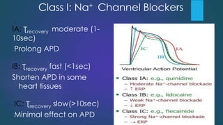 Class I: Na+ Channel Blockers
IA: Ʈrecovery moderate (1-
10sec)
Prolong APD
IB: Ʈrecovery fast (<1sec)
Shorten APD in some
heart tissues
IC: Ʈrecovery slow(>10sec)
Minimal effect on APD
 