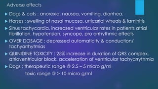 Adverse effects
 Dogs & cats : anorexia, nausea, vomiting, diarrhea.
 Horses : swelling of nasal mucosa, urticarial wheals & laminitis
 Sinus tachycardia, increased ventricular rates in patients atrial
fibrillation, hypotension, syncope, pro arrhythmic effects
 OVER DOSAGE : depressed automaticity & conduction/
tachyarrhytmias
 QUINIDINE TOXICITY : 25% increase in duration of QRS complex,
atrioventricular block, acceleration of ventricular tachyarrythmia
 Dogs : therapeutic range @ 2.5 – 5 micro g/ml
toxic range @ > 10 micro g/ml
 
