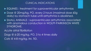 CLINICAL INDICATIONS
 EQUINES : treatment for supraventricular arrhythmias
 Dose @ 20mg/kg, PO, every 2 hours (maximal dose 60g
daily) by stomach tube until arrhythmia is abolished.
 SMALL ANIMALS : supraventricular arrhythmias associated
with anomalous conduction in WOLFF-PARKINSON WHITE
SYNDROME.
Acute atrial fibrillation
Dogs @ 6-20 mg/kg, PO, 3 to 4 times daily
Cats @ 4-8 mg/kg, IM, TID.
 