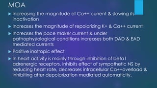 MOA
 Increasing the magnitude of Ca++ current & slowing its
inactivation
 Increases the magnitude of repolarizing K+ & Ca++ current
 Increases the pace maker current & under
pathophysiological conditions increases both DAD & EAD
mediated currents
 Positive inotropic effect
 In heart activity is mainly through inhibition of beta1
adrenergic receptors, inhibits effect of sympathetic NS by
reducing heart rate, decreases intracellular Ca++overload &
inhibiting after depolarization mediated automaticity.
 