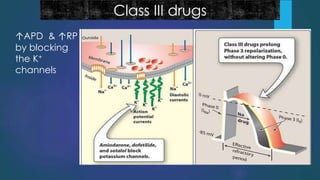Class III drugs
↑APD & ↑RP
by blocking
the K+
channels
 