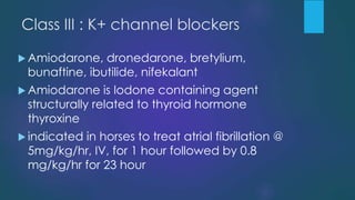 Class III : K+ channel blockers
 Amiodarone, dronedarone, bretylium,
bunaftine, ibutilide, nifekalant
 Amiodarone is Iodone containing agent
structurally related to thyroid hormone
thyroxine
 indicated in horses to treat atrial fibrillation @
5mg/kg/hr, IV, for 1 hour followed by 0.8
mg/kg/hr for 23 hour
 