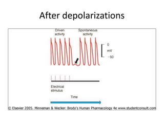 After depolarizations
 