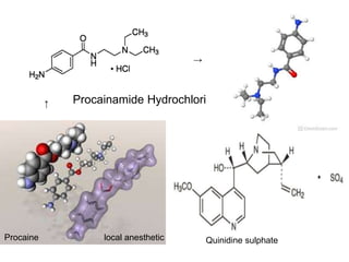 Procainamide Hydrochloride
Procaine local anesthetic Quinidine sulphate
→
↑
 
