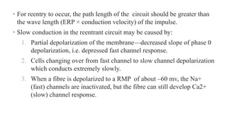 • For reentry to occur, the path length of the circuit should be greater than
the wave length (ERP × conduction velocity) of the impulse.
• Slow conduction in the reentrant circuit may be caused by:
1. Partial depolarization of the membrane—decreased slope of phase 0
depolarization, i.e. depressed fast channel response.
2. Cells changing over from fast channel to slow channel depolarization
which conducts extremely slowly.
3. When a fibre is depolarized to a RMP of about –60 mv, the Na+
(fast) channels are inactivated, but the fibre can still develop Ca2+
(slow) channel response.
 