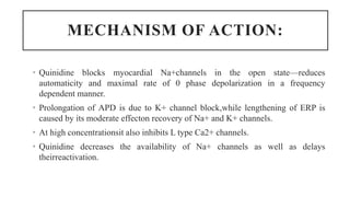 MECHANISM OF ACTION:
• Quinidine blocks myocardial Na+channels in the open state—reduces
automaticity and maximal rate of 0 phase depolarization in a frequency
dependent manner.
• Prolongation of APD is due to K+ channel block,while lengthening of ERP is
caused by its moderate effecton recovery of Na+ and K+ channels.
• At high concentrationsit also inhibits L type Ca2+ channels.
• Quinidine decreases the availability of Na+ channels as well as delays
theirreactivation.
 