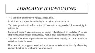 LIDOCAINE (LIGNOCAINE)
• It is the most commonly used local anaesthetic.
• In addition, it is a popular antiarrhythmic in intensive care units.
• The most prominent cardiac action of lidocaine is suppression of automaticity in
ectopic foci.
• Enhanced phase-4 depolarization in partially depolarized or stretched PFs, and
after-depolarizations are antagonized, but SA node automaticity is not depressed.
• The rate of 0 phase depolarization and conduction velocity in A-V bundle or
ventricles is not decreased.
• However, it can suppress reentrant ventricular arrhythmias either by abolishing
oneway block or by producing two way block.
 