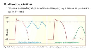 B. After-depolarizations
• These are secondary depolarizations accompanying a normal or premature
action potential
 