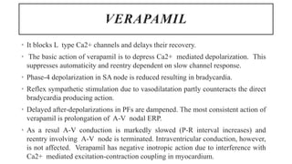 VERAPAMIL
• It blocks L type Ca2+ channels and delays their recovery.
• The basic action of verapamil is to depress Ca2+ mediated depolarization. This
suppresses automaticity and reentry dependent on slow channel response.
• Phase-4 depolarization in SA node is reduced resulting in bradycardia.
• Reflex sympathetic stimulation due to vasodilatation partly counteracts the direct
bradycardia producing action.
• Delayed after-depolarizations in PFs are dampened. The most consistent action of
verapamil is prolongation of A-V nodal ERP.
• As a resul A-V conduction is markedly slowed (P-R interval increases) and
reentry involving A-V node is terminated. Intraventricular conduction, however,
is not affected. Verapamil has negative inotropic action due to interference with
Ca2+ mediated excitation-contraction coupling in myocardium.
 